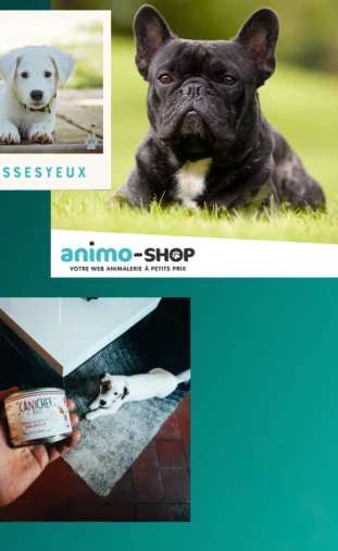 Animalis — #DansSesYeux : du quotidien à la communauté