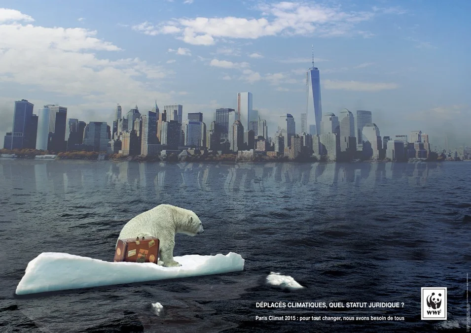 Affiche du WWF montrant un ours polaire sur un bloc de glace devant une ville